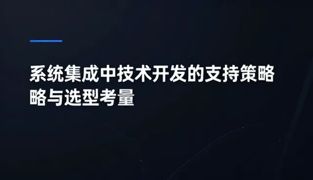 系统集成中技术开发的支持策略与选型考量